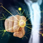 5 Best And Free AI Content Detector Tools