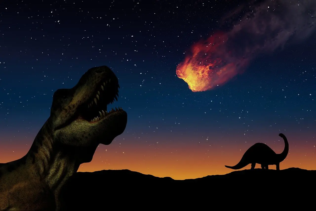 Extinction