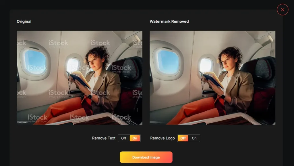 AI Image Watermark Remover Result