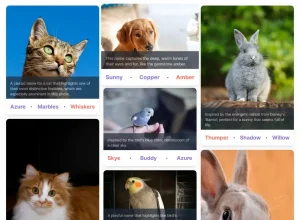 Find the Purrfect Name for Your Pet with PicAPetName AI