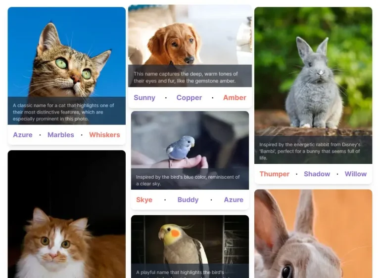 Find the Purrfect Name for Your Pet with PicAPetName AI