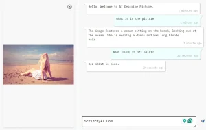 AI Describe Picture Chat (1)