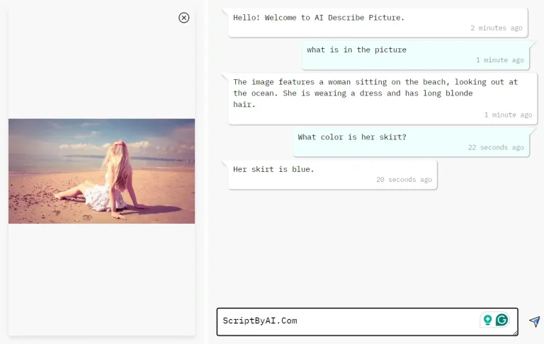 AI Describe Picture Chat (1)