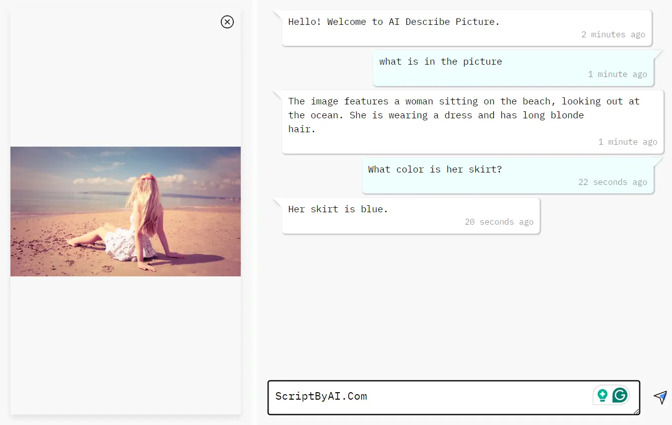 AI Describe Picture Chat (1)