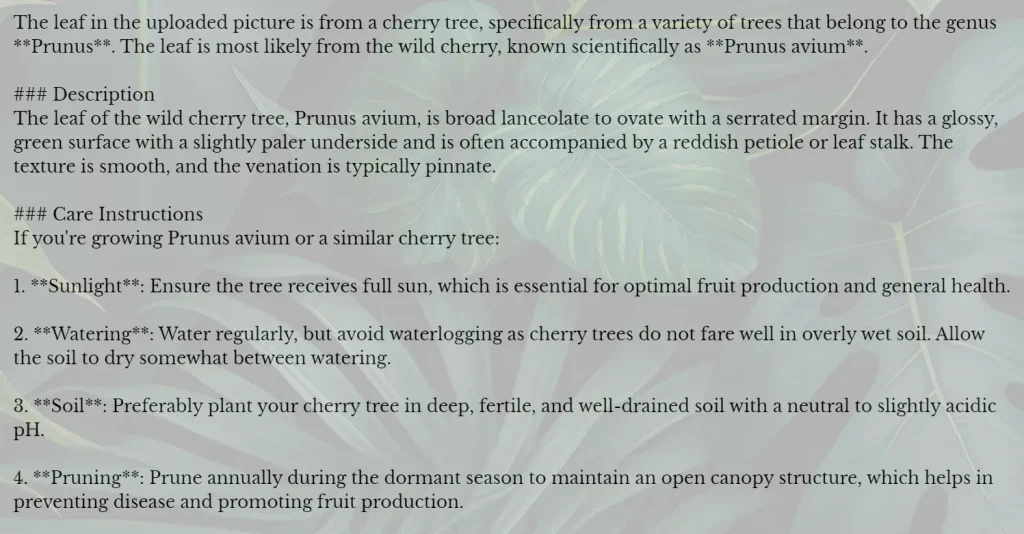 Photo Synthesis Plant Identify Result