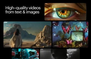 generate-video-dream-machine