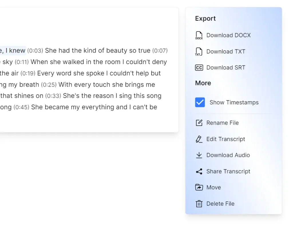 Videotowords AI Transcription Details