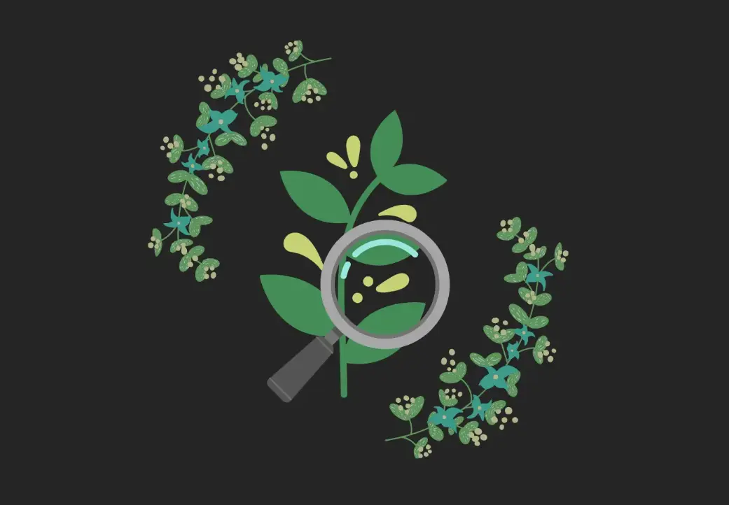 detect-crop-diseases-id-plants