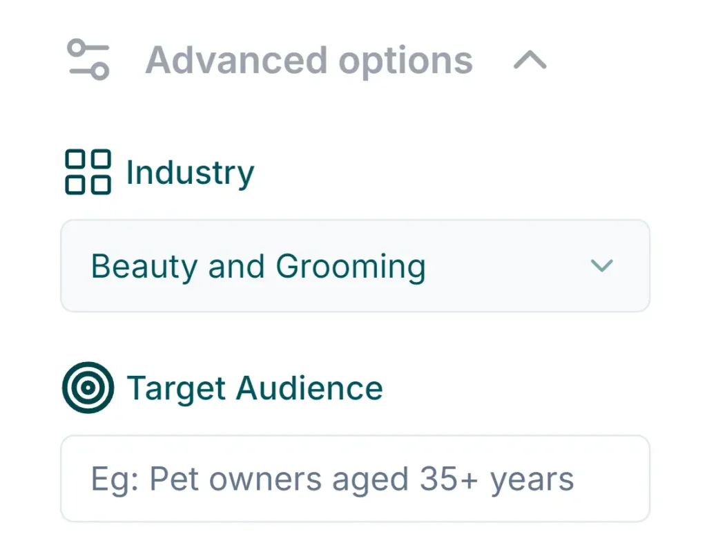 AI Ads Analyzer Advanced Options