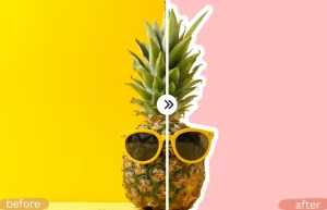 background-remover-outline