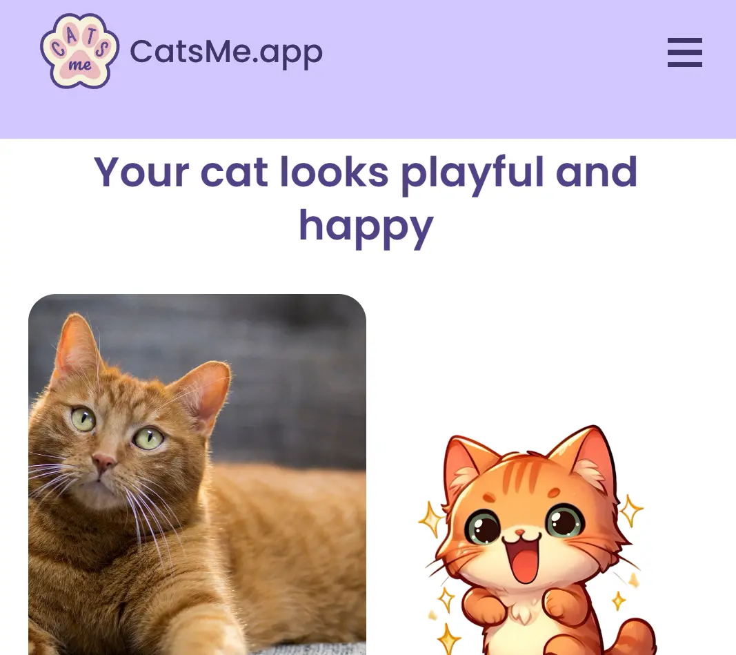 check-cat-health