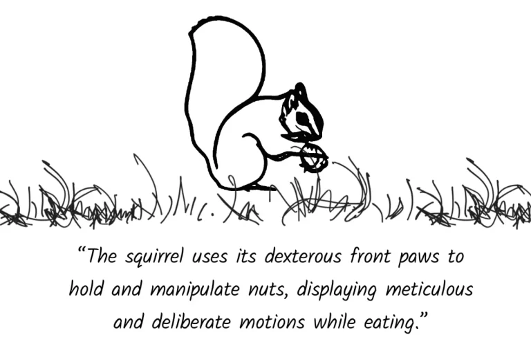 sketche-animations-flip