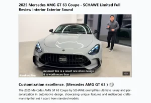 youtube-video-summarizer-tldw