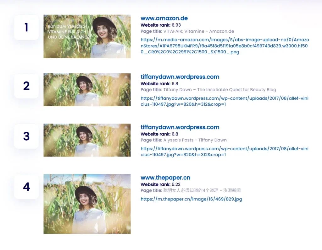 CopySeeker AI Example