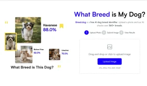 breed-my-dog