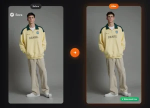 remove-sora-watermarks