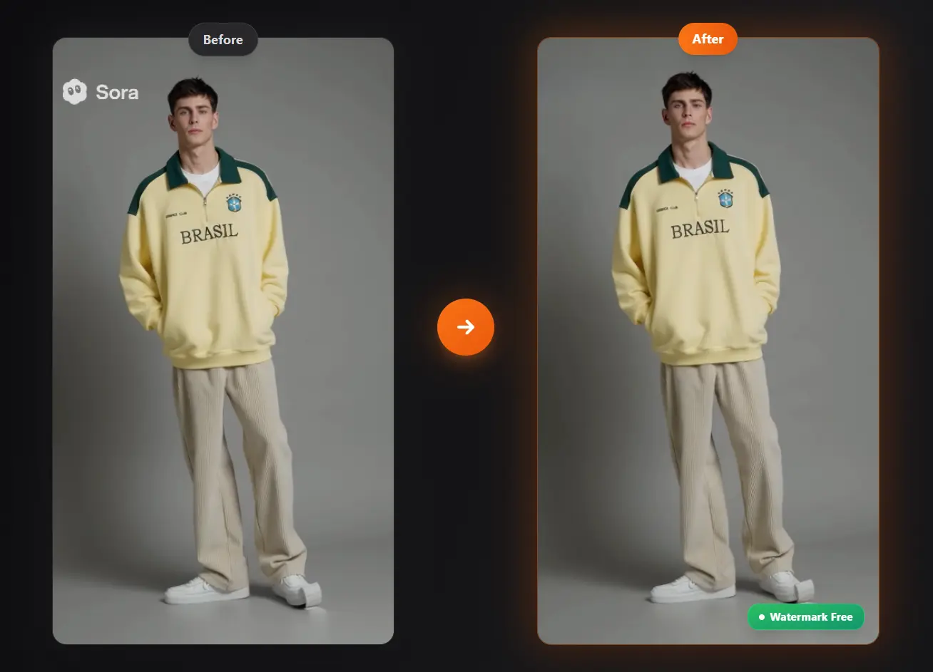 remove-sora-watermarks