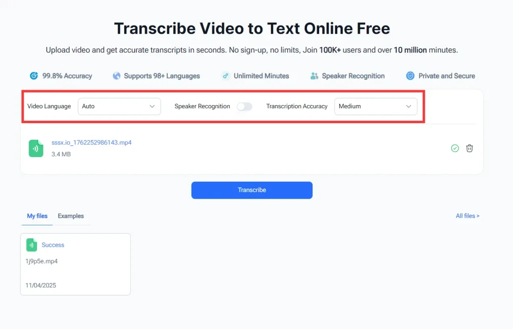 Video Transcriber AI Settings