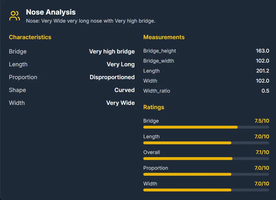 AI Pretty Scale Nose Analysis