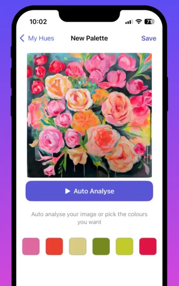 HueBuddy App Auto Analyze