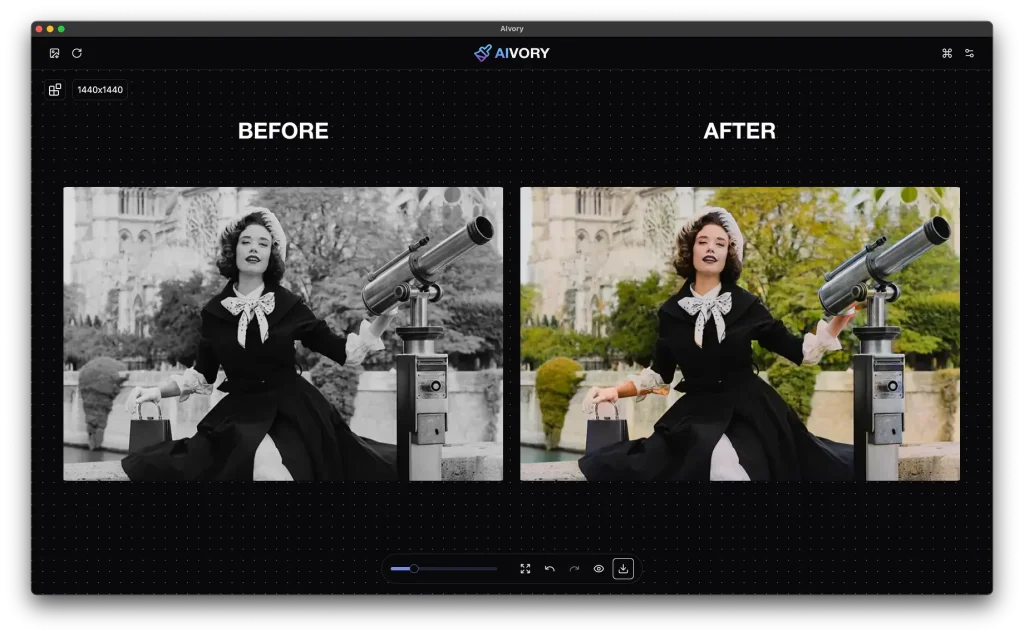 AIvory AI Colorization