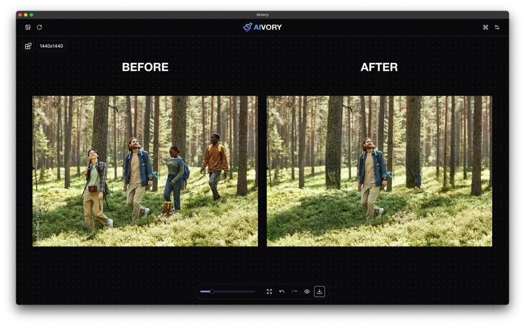 AIvory Object Remove